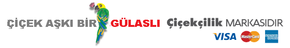 BUCA GÜLASLI ÇİÇEKÇİLİK logo